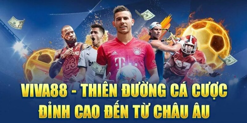 Đôi nét về thiên đường cá cược Viva88
